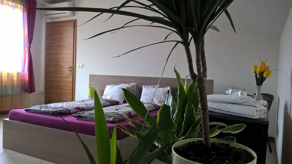 Kazinczy Apartment Kecskemét Rom bilde